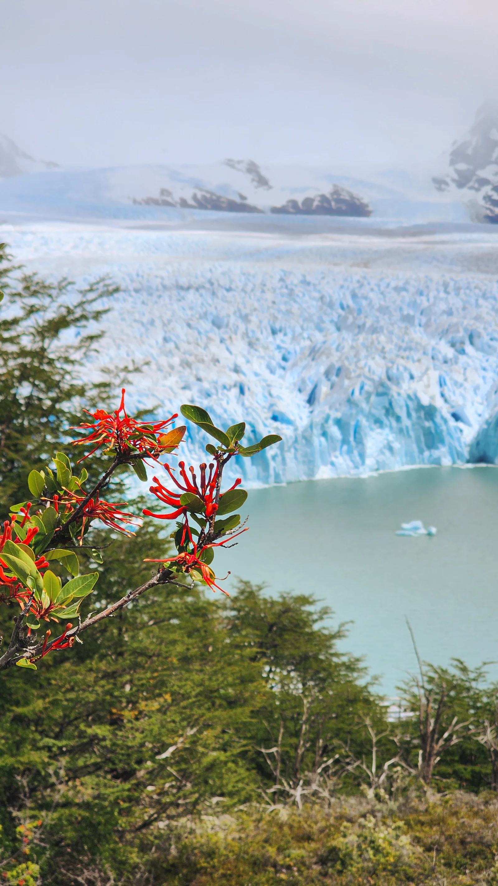 Full Day Perito Moreno · 1